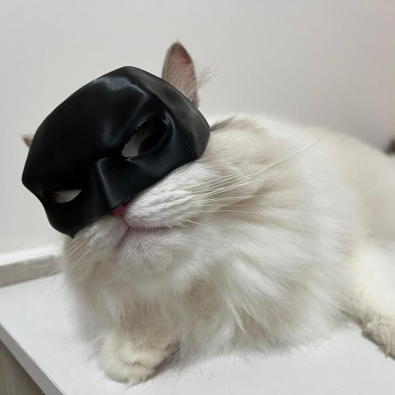 BatPaws™ Batman-Inspired Pet Costume Mask | Cosplay Party Accessory for Dogs & Cats (1 Count)
