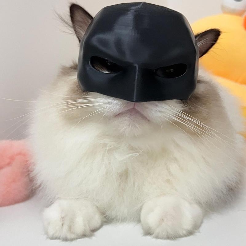 BatPaws™ Batman-Inspired Pet Costume Mask | Cosplay Party Accessory for Dogs & Cats (1 Count)