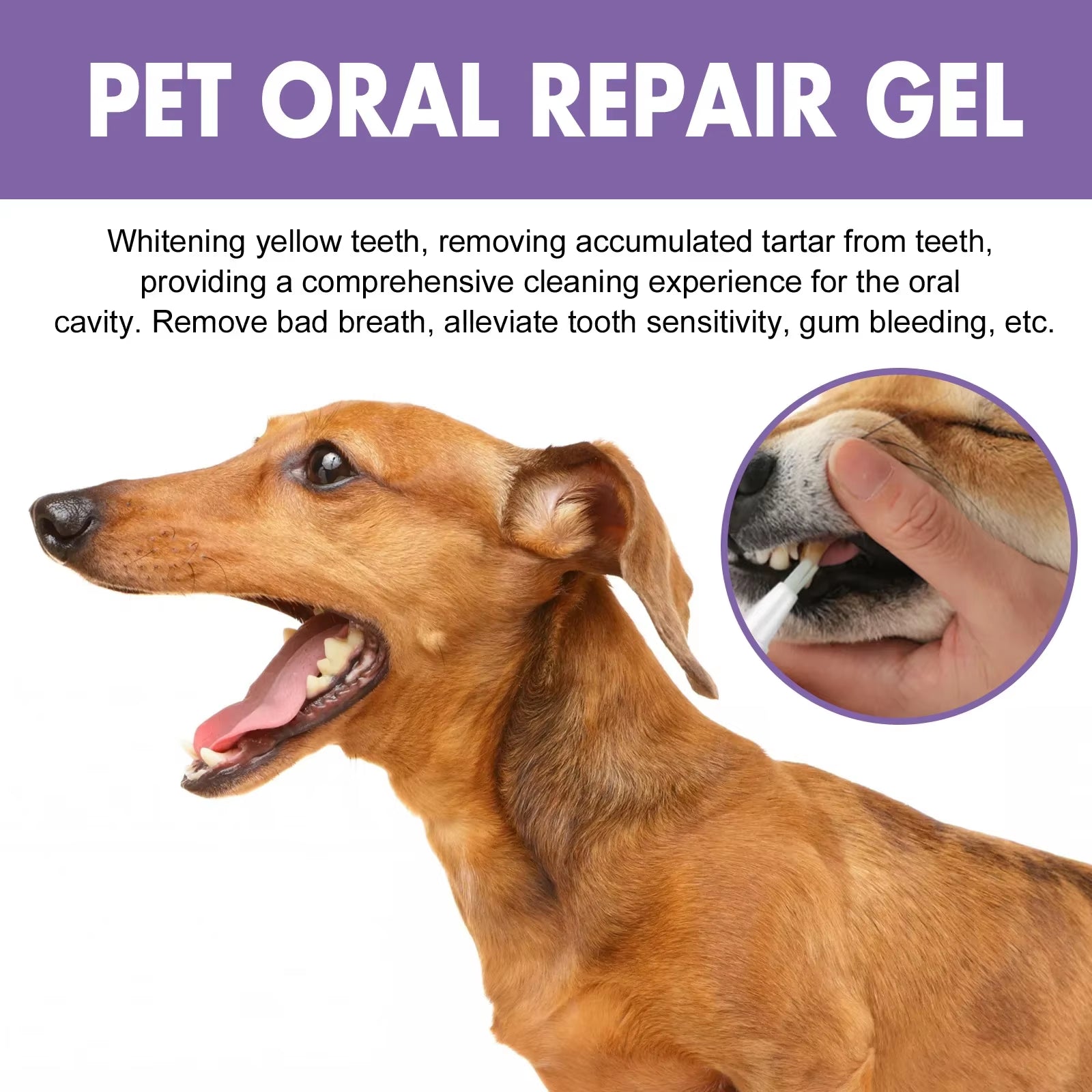 FreshFang™ Pet Teeth Cleaning Pen | Natural Oral Care Gel & Dental Stain Remover for Dogs and Cats