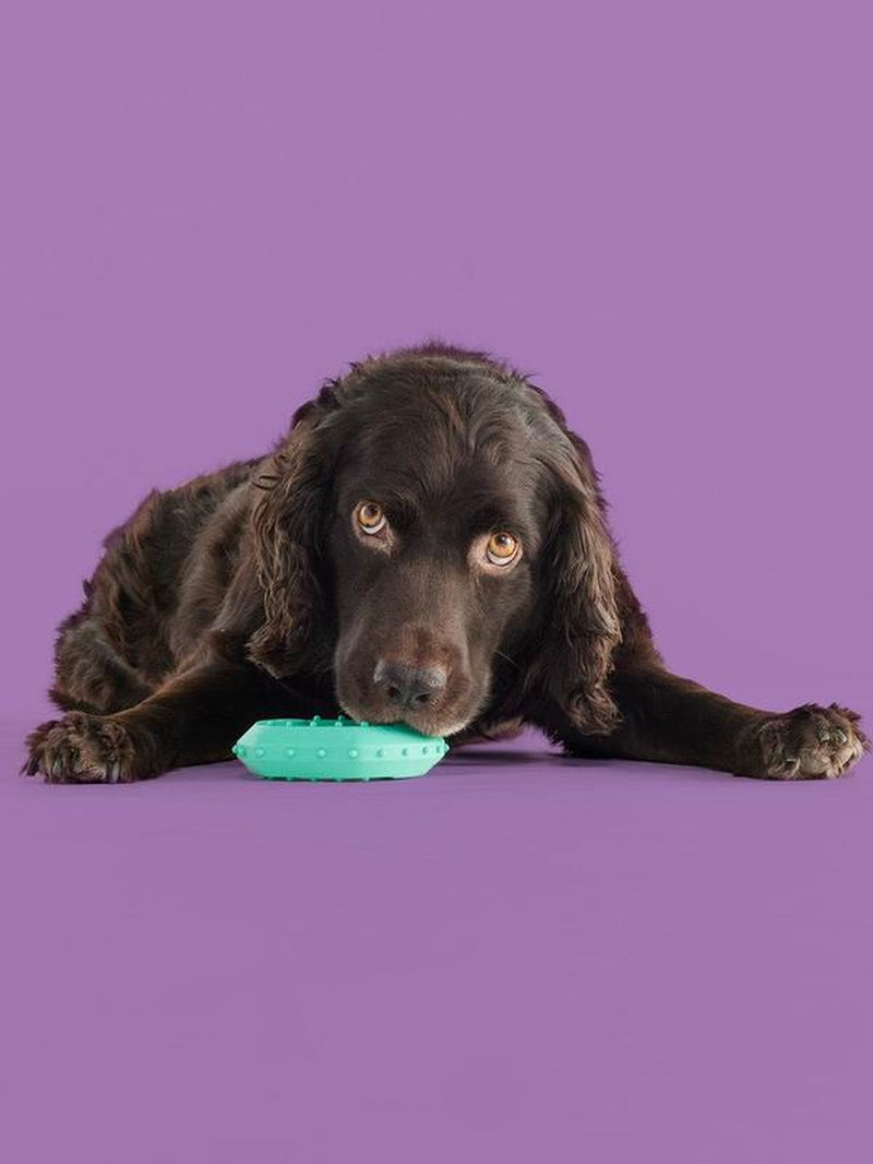 Chillchew™ Freezable Dog Toy | Cooling Silicone Teether for Soft & Medium Chewers