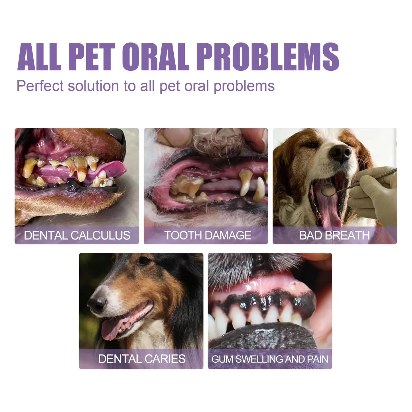 FreshFang™ Pet Teeth Cleaning Pen | Natural Oral Care Gel & Dental Stain Remover for Dogs and Cats